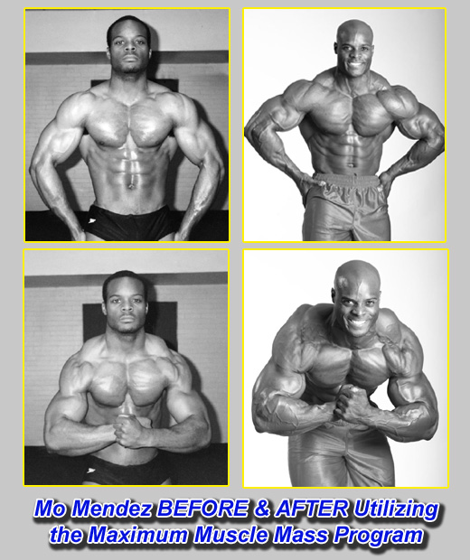 Muscle mass program cheap